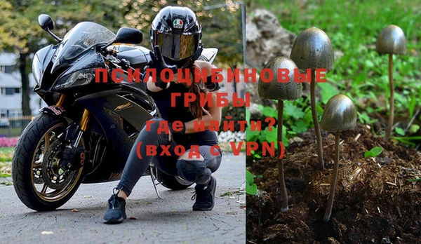 мяу мяу мука Арсеньев