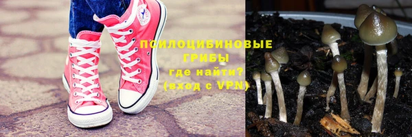 apvp Аркадак