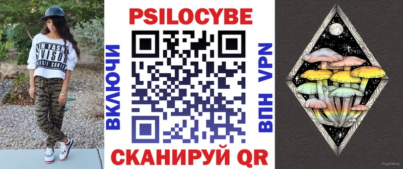 площадка какой сайт  Никольск  Псилоцибиновые грибы Cubensis 